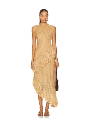 SIMONMILLER Beja Crochet Dress in Brown. Size M. Also in XS.