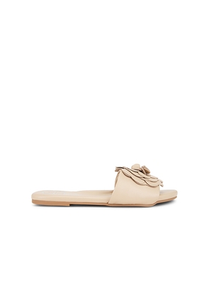 Solei Sea Dahlie Sandal in Nude. Size 8. Also in 9.