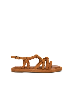 Schutz Janet Sandal in Brown. Size 6. Also in 5, 6.5, 7.5, 8.5, 9.5.