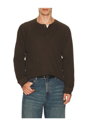 PAIGE Abaroa Henley in Brown. Size S. Also in XL/1X.