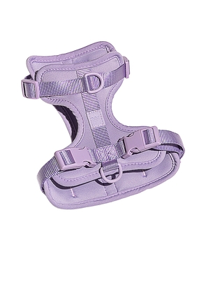 Wild One Harness in Lavender.
