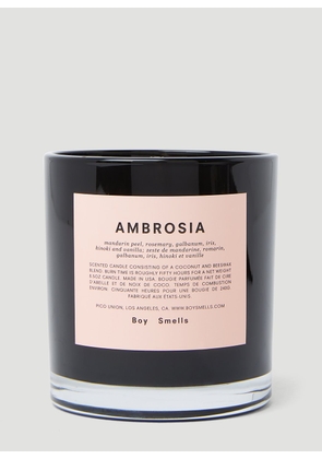 Boy Smells Ambrosia Candle -  Candles & Scents Black One Size