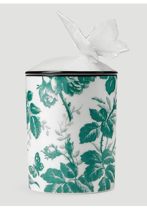Gucci Herbosum Butterfly Candle -  Candles & Scents Green One Size