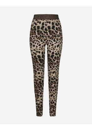 Dolce & Gabbana Jersey Leggings With Jacquard Leopard Design - Woman Pants And Shorts Multi-colored Viscose 44