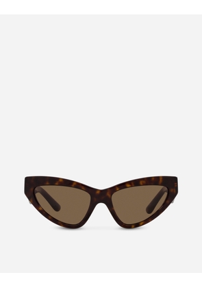 Dolce & Gabbana Dg Crossed Sunglasses - Woman Havana Acetate Onesize