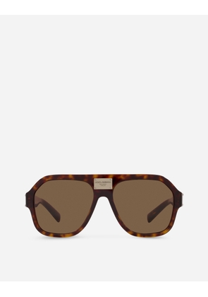 Dolce & Gabbana Dg Plaque Sunglasses - Man Havana Acetate Onesize