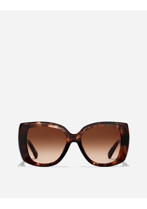 Dolce & Gabbana Everyday Sunglasses - Woman Havana Onesize