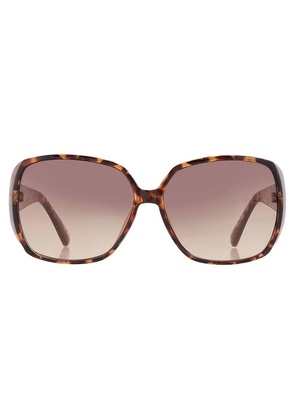 Guess Factory Brown Gradient Butterfly Ladies Sunglasses GF0426 53F 61
