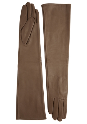 Dents Mia Leather Long Gloves - Brown - M