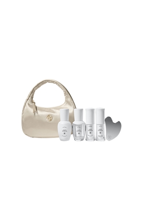 Agent Nateur Holiday Silk Bag in Beauty: NA.