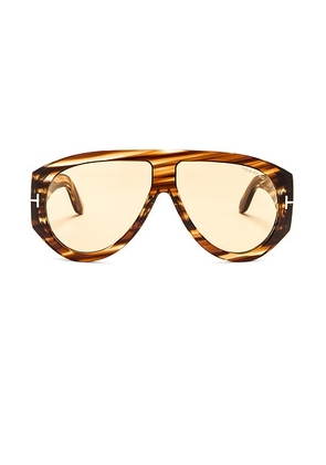TOM FORD Bronson Sunglasses in Shiny Striped Havana - Brown. Size all.
