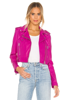 LAMARQUE Ciara Leather Jacket in Fuchsia. Size L. Also in M, S, XL, XS.
