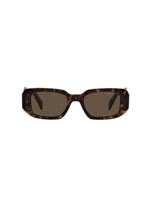 Prada Scultoreo Narrow Sunglasses in Brown.