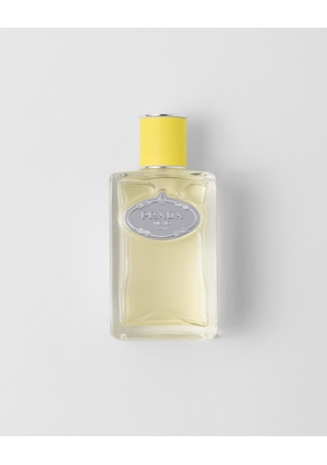 Prada Infusion d'Ylang EDP 100ml