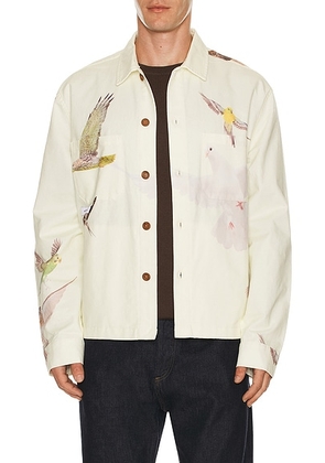 Students Golf Windmill Chore Jacket in Nude - Cream. Size L (also in S, XL/1X).