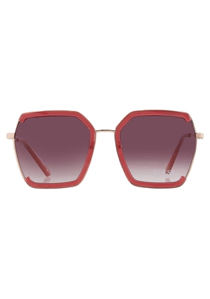 Guess Factory Bordeaux Gradient Butterfly Ladies Sunglasses GF0418 69T 58