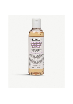 Kiehl's Rice and Wheat Volumising Shampoo 250ml