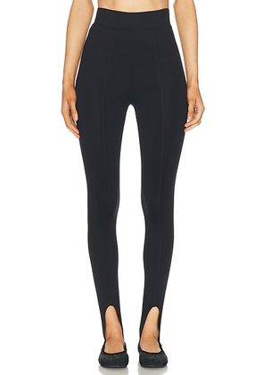 NORBA Stirrup Legging in Black - Black. Size S (also in ).