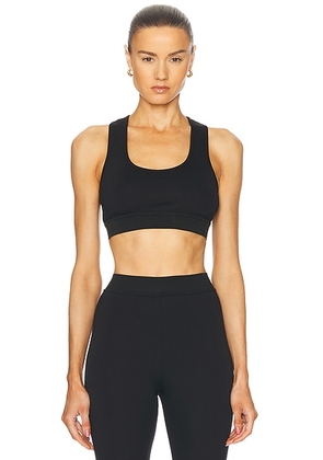 WARDROBE.NYC X Rosie Huntington-Whiteley RHW Active Bra in Black - Black. Size L (also in M, XL, XS).