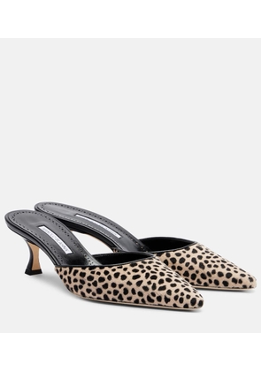 Manolo Blahnik Carolyne 50 leopard-print calf hair mules