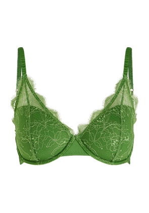 Love Stories Gwenyth Lace Underwired bra - Sage - 34D (34D)