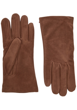 Agnelle Ines Cashmere-lined Suede Gloves - Brown - 7 (M)