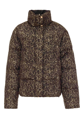 Just Cavalli leopard-print quilted jacket - Brown