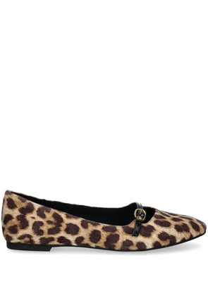 Kurt Geiger London Flexi ballet flats - Brown