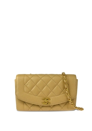 CHANEL Pre-Owned 1995 small Diana shoulder bag - Neutrals