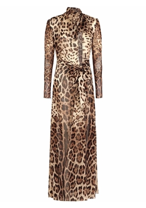 Dolce & Gabbana leopard-print georgette maxi dress - Brown