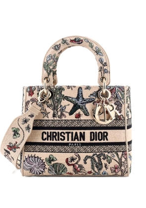 Christian Dior Pre-Owned Lady D-Lite Bag Embroidered Raffia Medium satchel - Neutrals