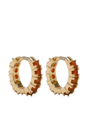 Ryenn&#x27;s Eyes carnelian earrings - Gold