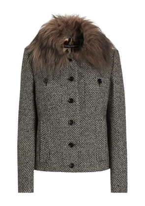 Dolce & Gabbana faux fur-collar jacket - Grey