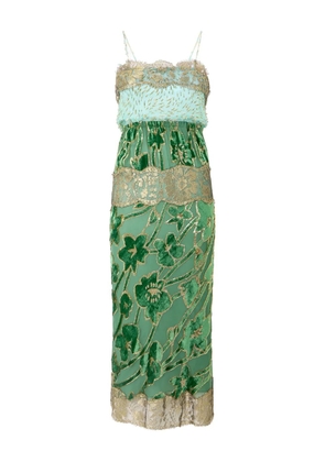 Roberto Cavalli floral-lace midi dress - Green