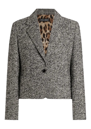 Dolce & Gabbana button-fastening jacket - Grey