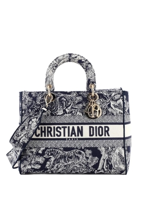 Christian Dior Pre-Owned Lady D-Lite Bag Embroidered Canvas Large tote bag - Blue