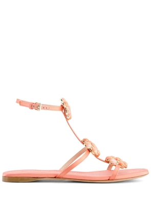 Giambattista Valli flower-detailing leather sandals - Pink