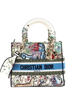 Christian Dior Pre-Owned Lady D-Lite Bag Embroidered Canvas Medium satchel - Blue