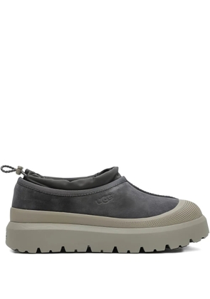 UGG Tasman sneakers - Grey