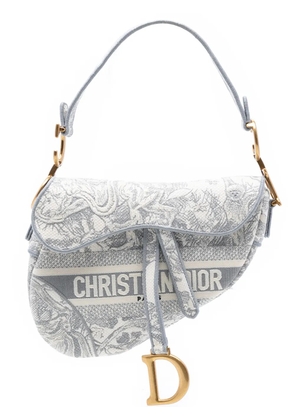 Christian Dior Pre-Owned 2021 Canvas Embroidered Toile de Jouy Saddle Bag shoulder bag - Grey