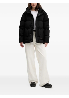 DICKIES hooded puffer jacket - Black