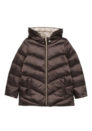 Marella Ecuador hooded zip jacket - Brown