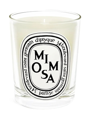 Diptyque Mimosa classic-model candle (190g) - White