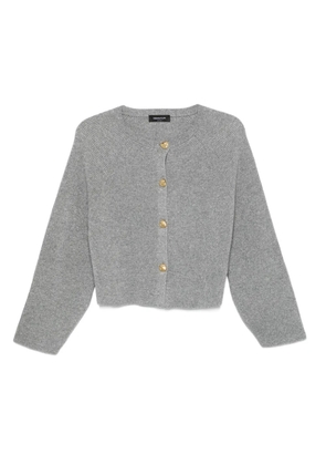 Fabiana Filippi ribbed button-closure cardigan - Grey