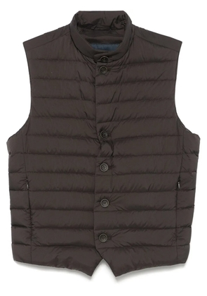 Herno padded gilet - Brown