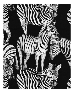 Dolce & Gabbana zebra-print wallpaper - Black