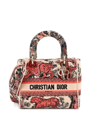 Christian Dior Pre-Owned Lady D-Lite Bag Embroidered Raffia Medium satchel - Multicolour