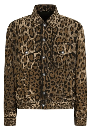 Dolce & Gabbana leopard-print denim jacket - Brown
