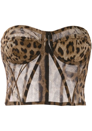 Dolce & Gabbana leopard-print tulle bustier top - Brown