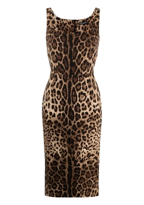 Dolce & Gabbana leopard-print square-neck fitted dress - Brown